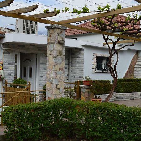 Villa Vila Ss Kekezi Gjirokastër Exterior foto